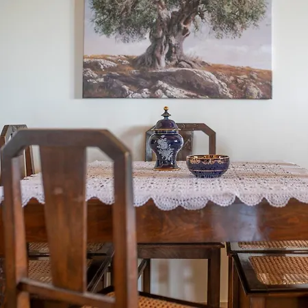 Vasiliki's Tatil Evi *