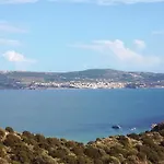 Vasiliki's *