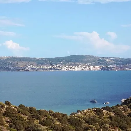 Vasiliki's *